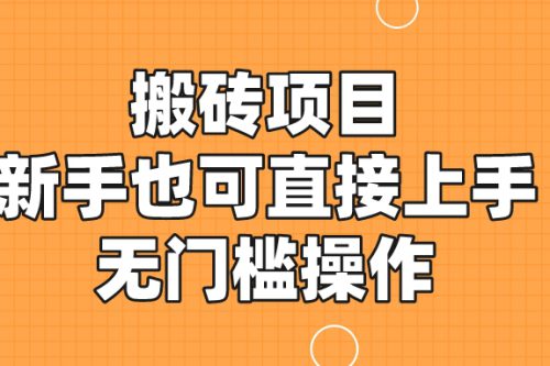 简单易上手的搬砖项目，适合新手小白，零门槛操作